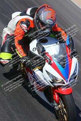 media/Nov-11-2023-SoCal Trackdays (Sat) [[efd63766ff]]/Turn 12 Inside (940am)/